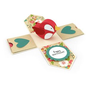 Explosion Box Birdhouse 294805