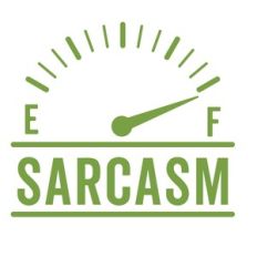 Sarcasm Meter