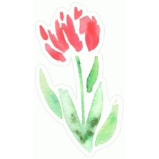 elegant watercolor flower