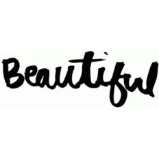 beautiful brushed lettering