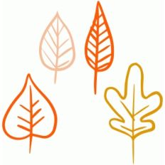 delicate autumn leaves