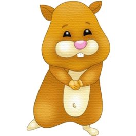 Picture of shy little hamster