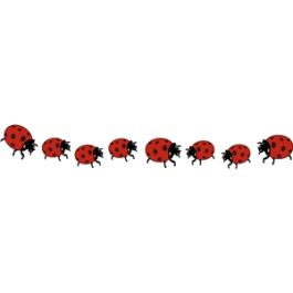 lady bug border pc