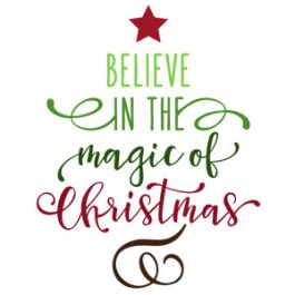 believe in magic of christmas - split damask