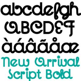 ld new arrival script bold