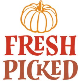 fresh picked pumpkins