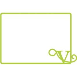 v initial frame