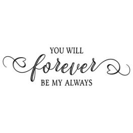 you will forever be my always