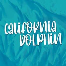 california dolphin