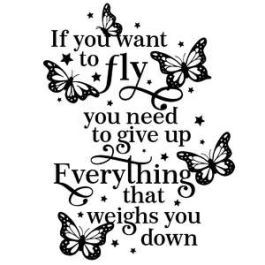 if you want to fly you have to give up everything that weighs you down