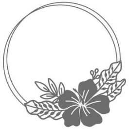 tropical hibiscus flower circle frame