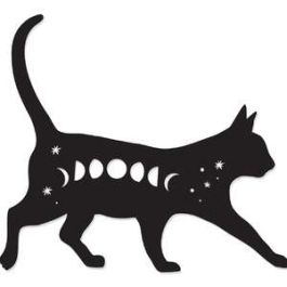 cosmic kitty