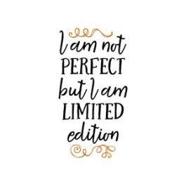 i am not perfect