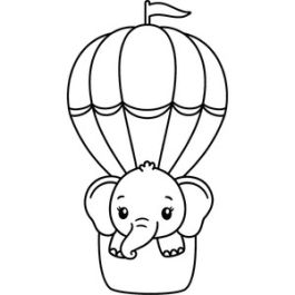 baby elephant