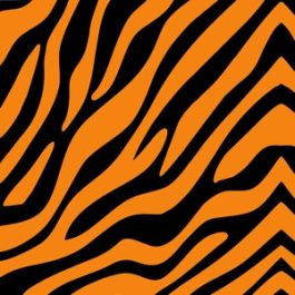 tiger skin