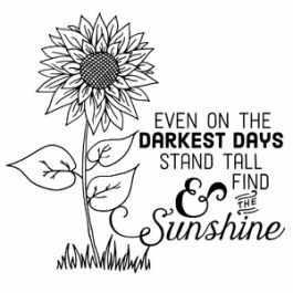 Even On The Darkest Days Sunflower Quote