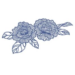 Peonies