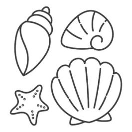 Seashell Lineart Set