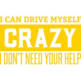 I Can Drive Myself Crazy Sweatshirt main image 0