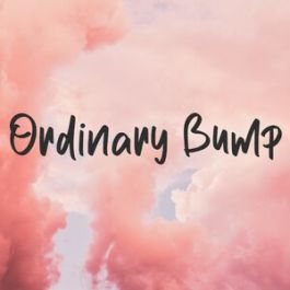 Ordinary Bump Font Font