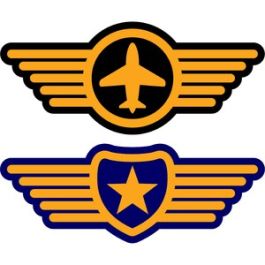 pilot symbols