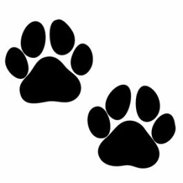 Paw Prints