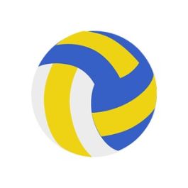 Volleyball Ball