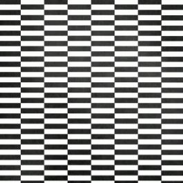 Ravian Line Pattern glitz paper raven lines