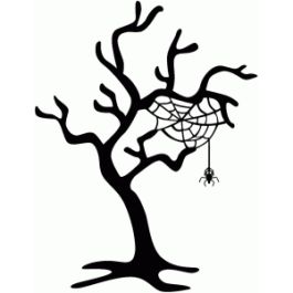 spider tree