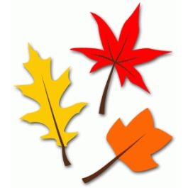 3 autumn leaves