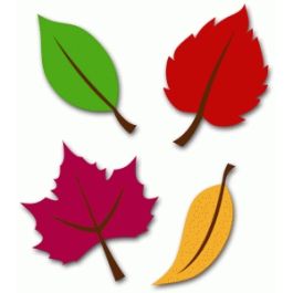 4 autumn leaves