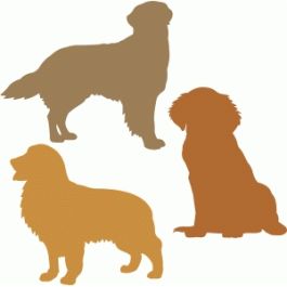 Artery8 Geburtstagskarte Golden Retriever – Hundemotiv, 17,5x12,5 Cm, Mit Umschlag, Blanko Innen
