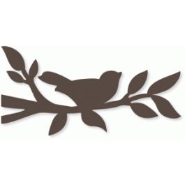 sitting bird on branch