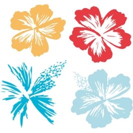 hibiscus