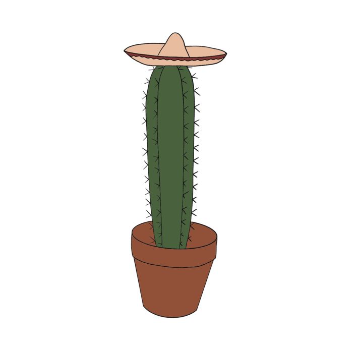 Cactus with hat