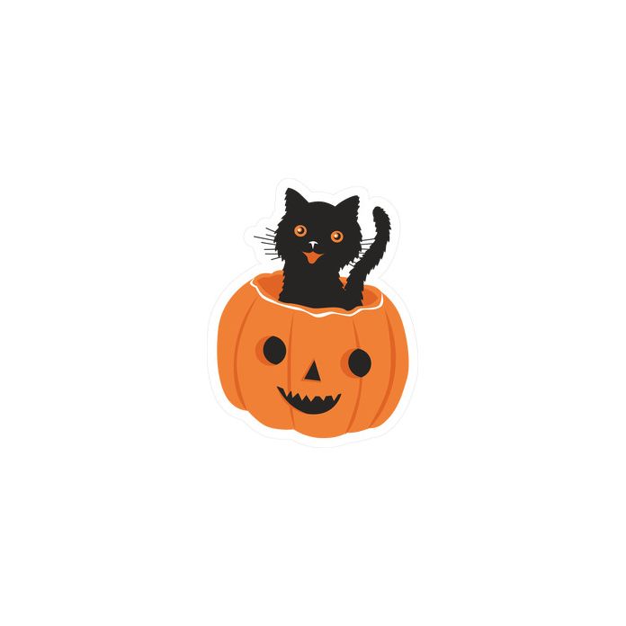 cat in a pumpkin