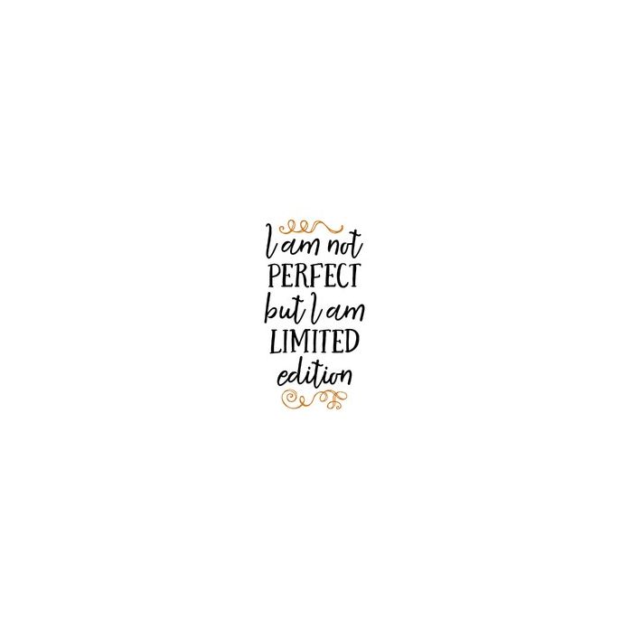 i am not perfect