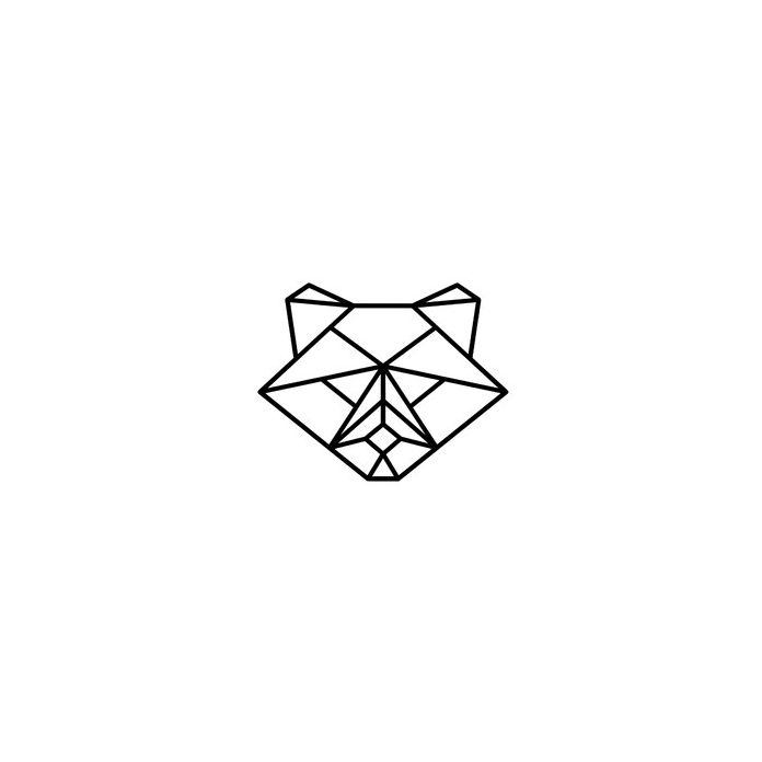 Raccoon Geometric 01