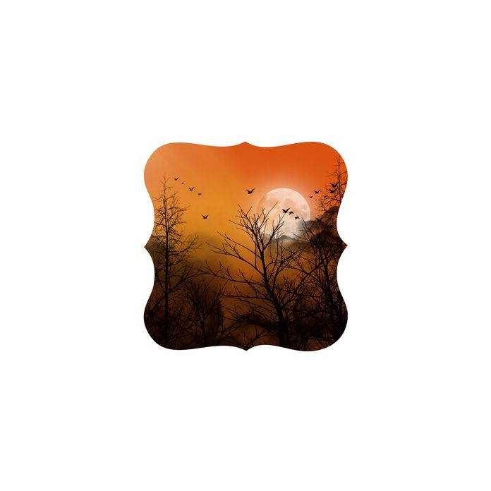 Fancy Label Shape Forest Night Sky