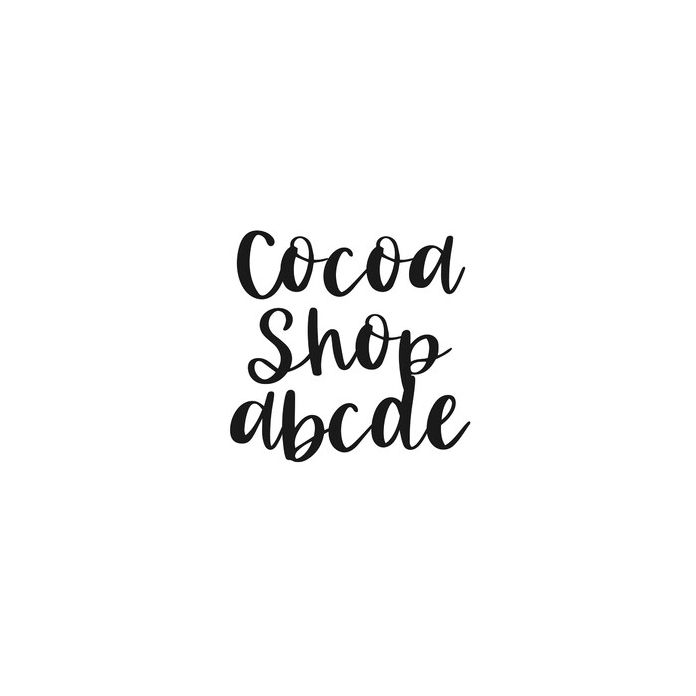 BFC Cocoa Shop Winter Brush Cursive Font