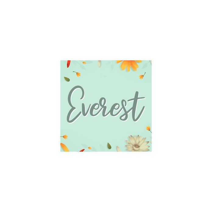 Everest Font