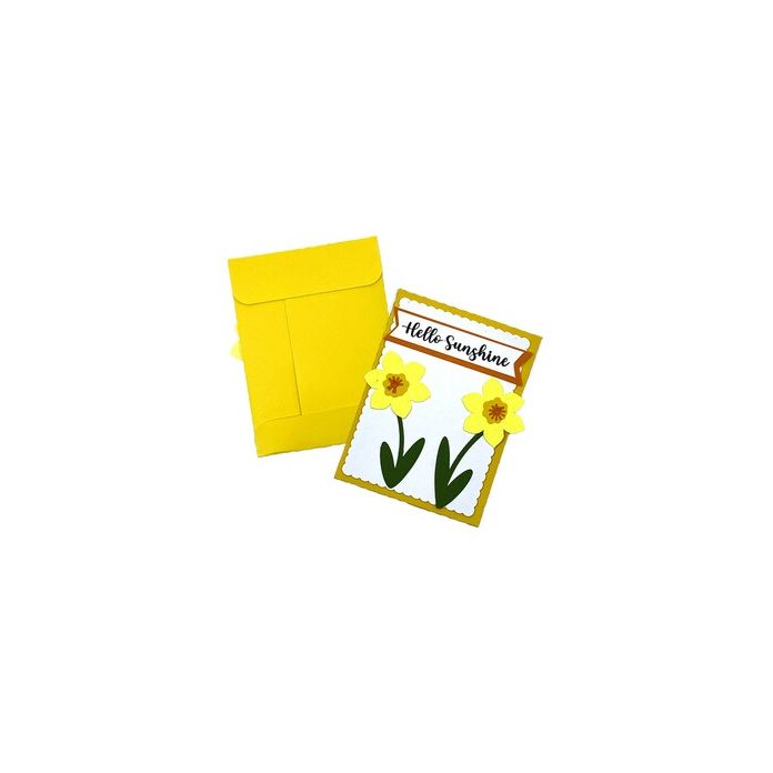 Daffodil Seed Packet