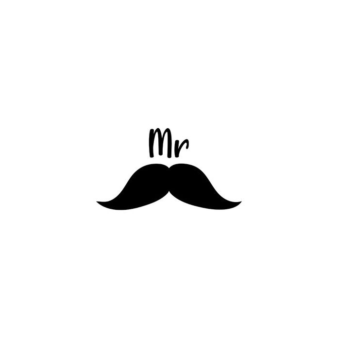 mr mustache