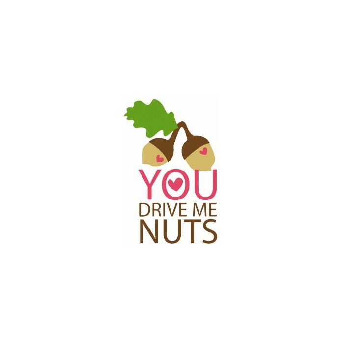 you drive me nuts