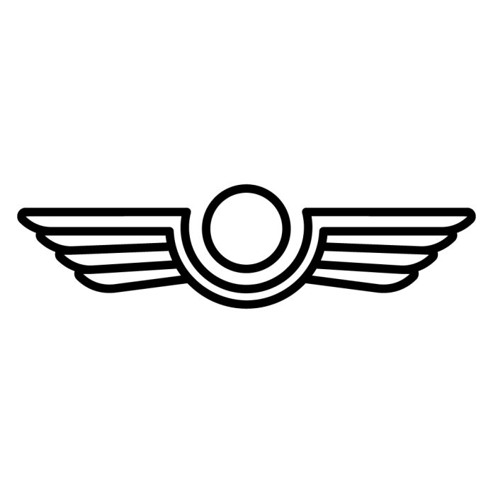 Pilot Wings